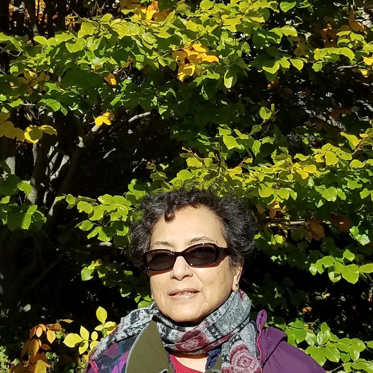 Shubha tree crop3